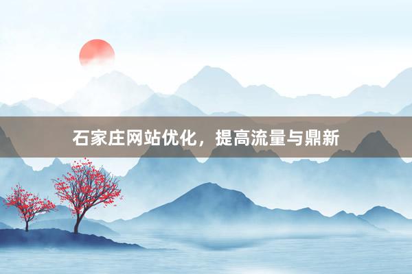 石家庄网站优化，提高流量与鼎新