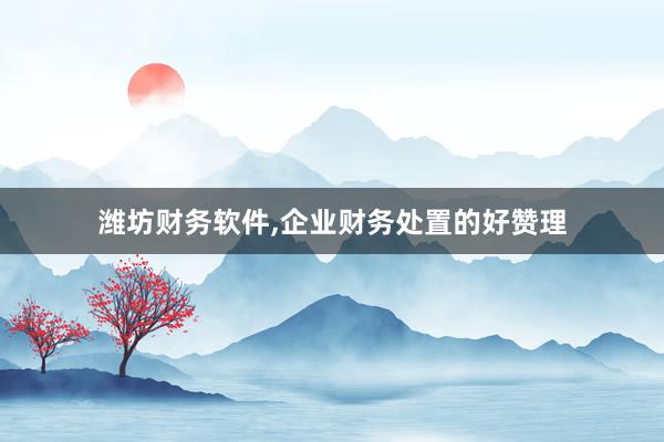 潍坊财务软件，企业财务处置的好赞理