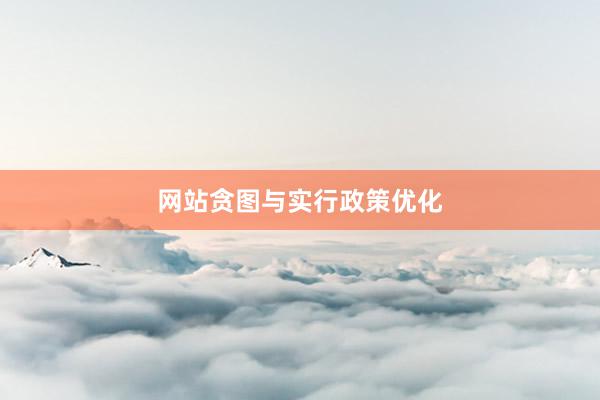 网站贪图与实行政策优化