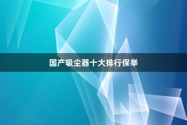 国产吸尘器十大排行保举