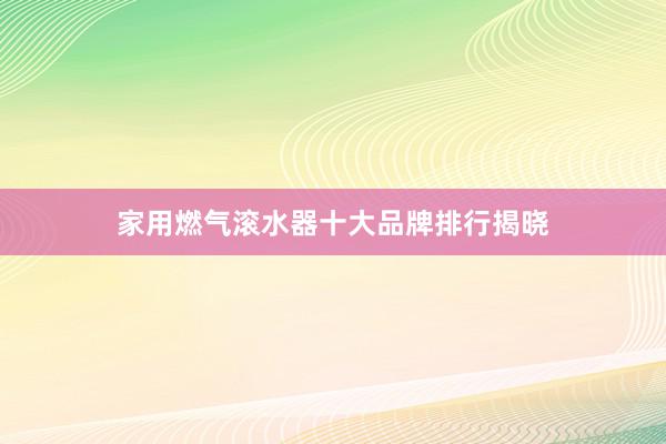 家用燃气滚水器十大品牌排行揭晓