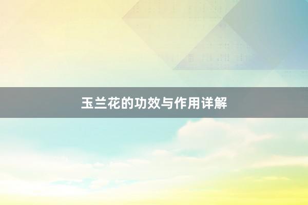 玉兰花的功效与作用详解